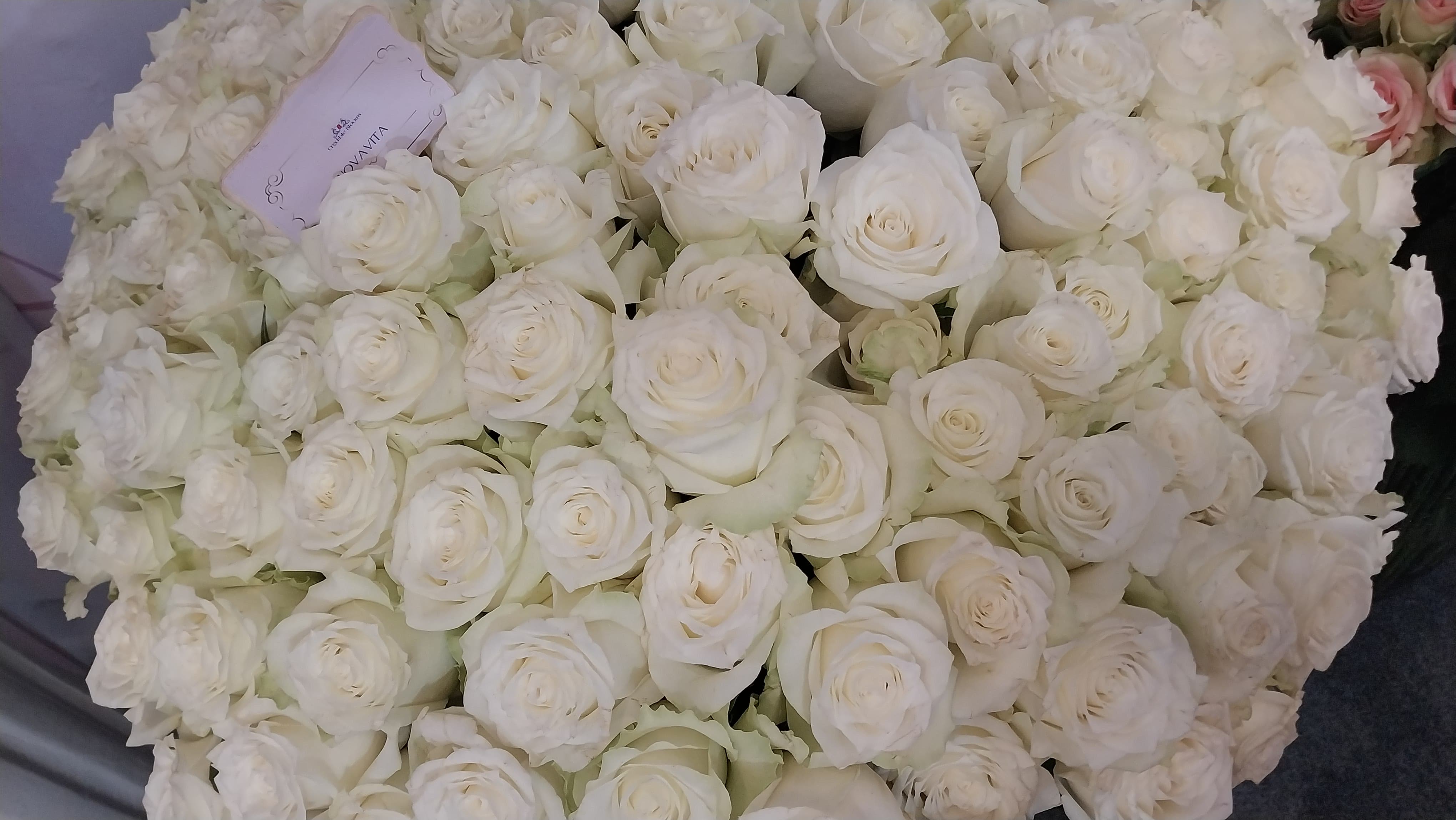 Flower gallery image 3