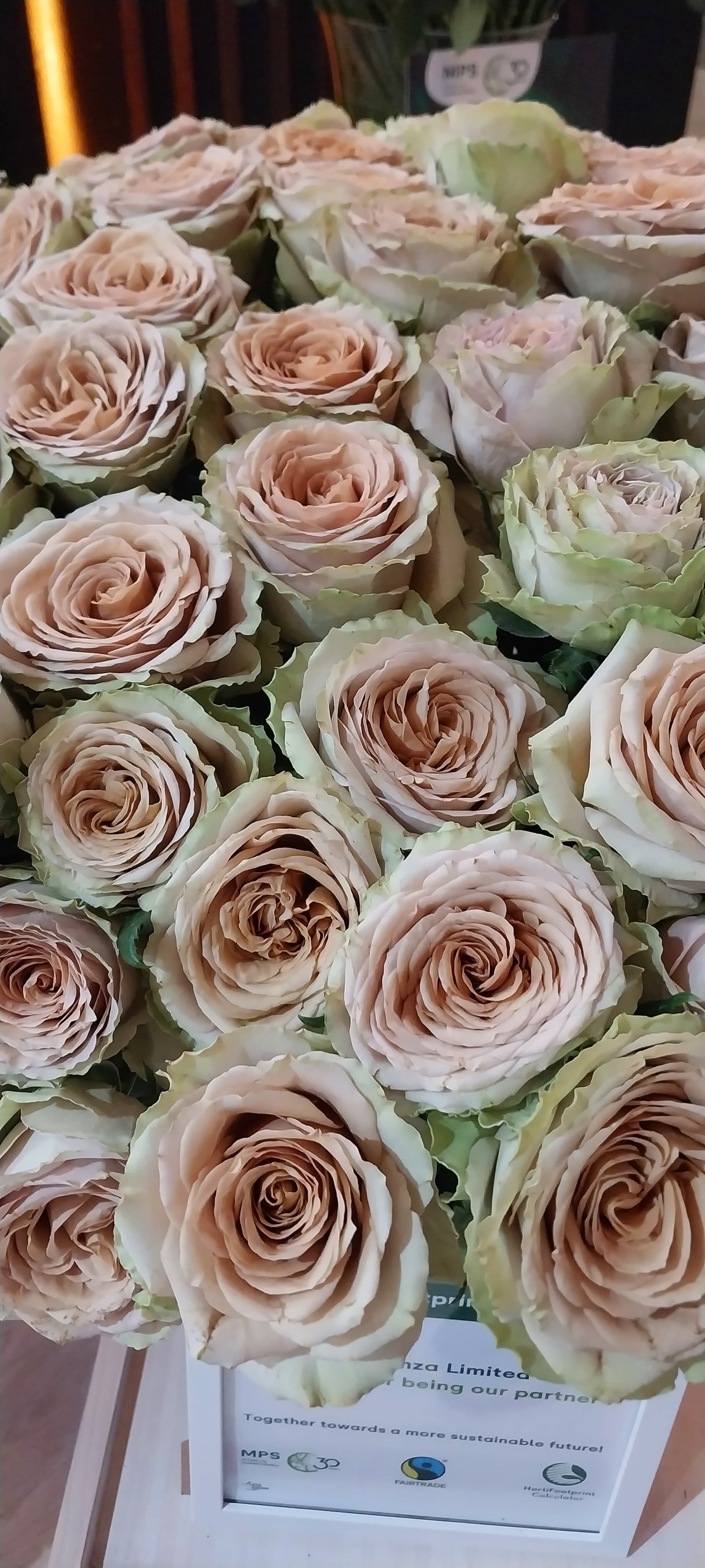 Flower gallery image 7