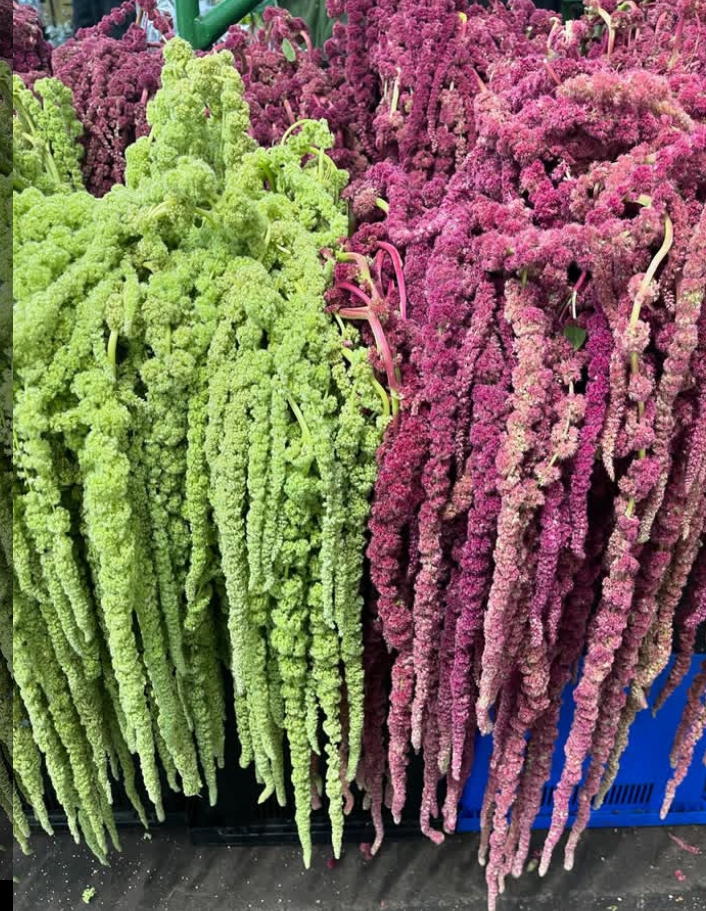 Flower gallery image 11